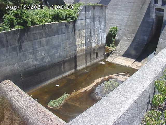 賀祥ダム１（下流）2025/08/15 14:00:00