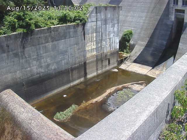 賀祥ダム１（下流）2025/08/15 14:00:00