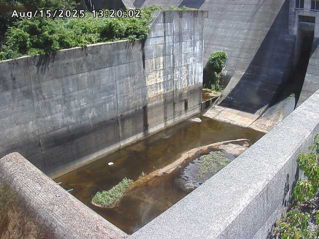 賀祥ダム１（下流）2025/08/15 14:00:00