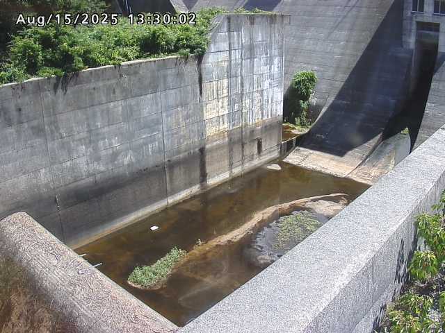 賀祥ダム１（下流）2025/08/15 14:00:00