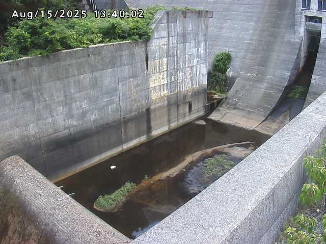 賀祥ダム１（下流）2025/08/15 14:00:00