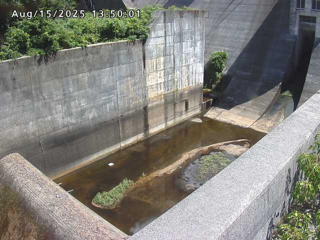 賀祥ダム１（下流）2025/08/15 14:00:00