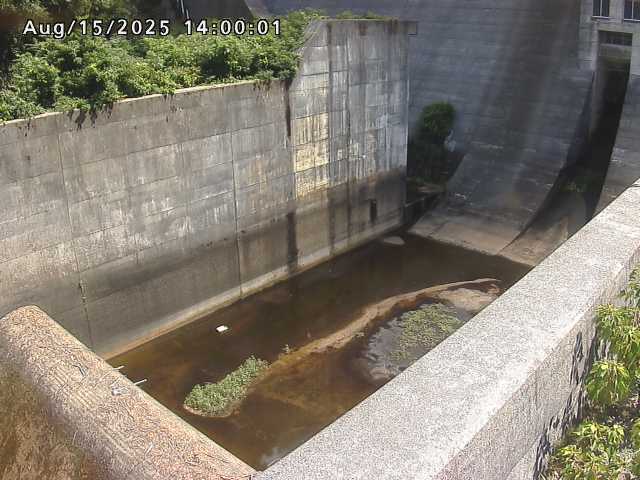 賀祥ダム１（下流）2025/08/15 14:00:00