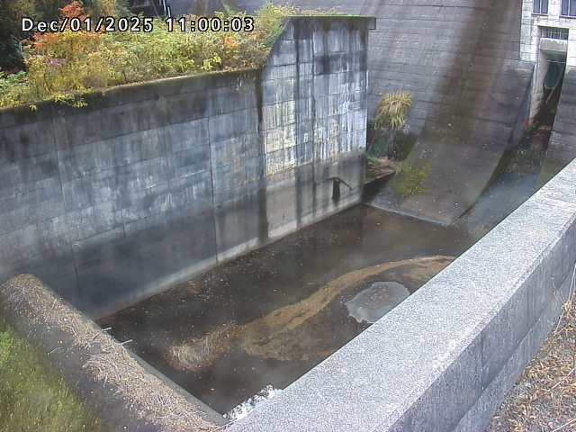 賀祥ダム１（下流）2025/12/02 11:30:00