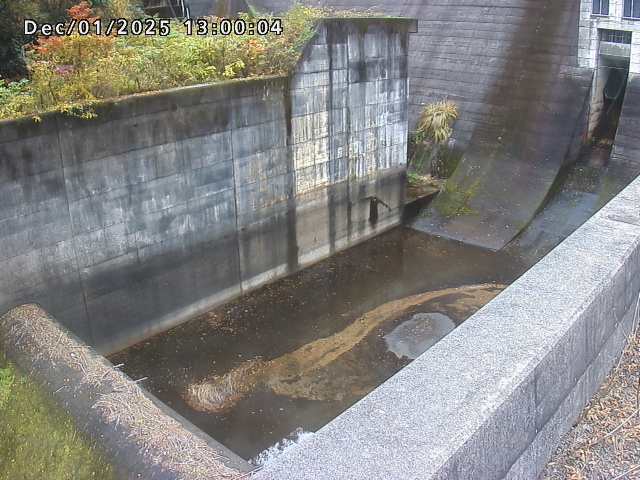賀祥ダム１（下流）2025/12/02 11:30:00