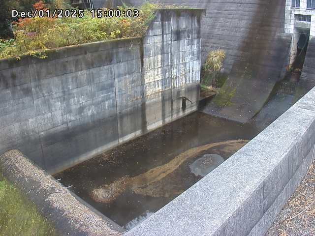 賀祥ダム１（下流）2025/12/02 11:30:00
