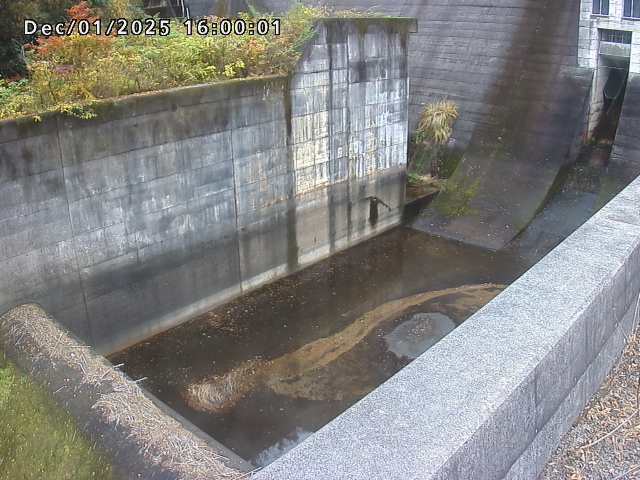 賀祥ダム１（下流）2025/12/02 11:30:00