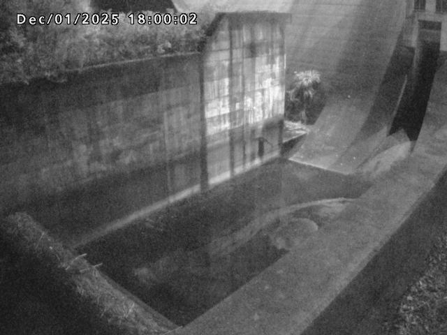 賀祥ダム１（下流）2025/12/02 11:30:00