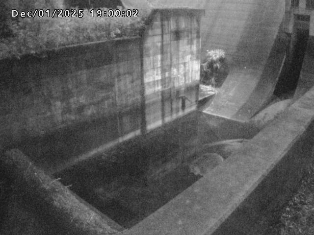 賀祥ダム１（下流）2025/12/02 11:30:00