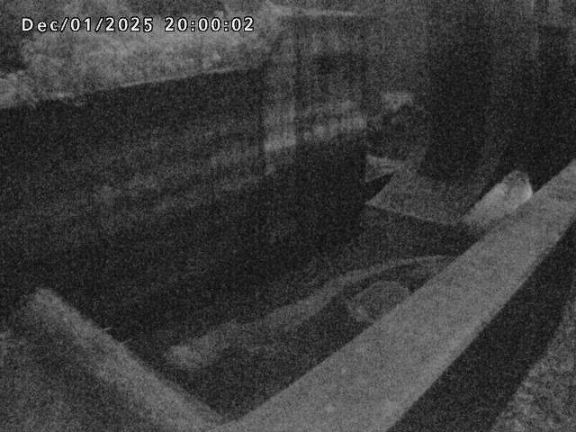 賀祥ダム１（下流）2025/12/02 11:30:00