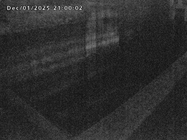 賀祥ダム１（下流）2025/12/02 11:30:00