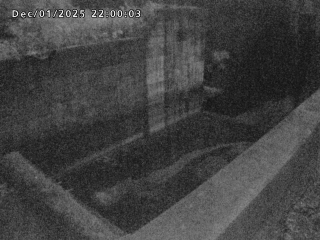 賀祥ダム１（下流）2025/12/02 11:30:00