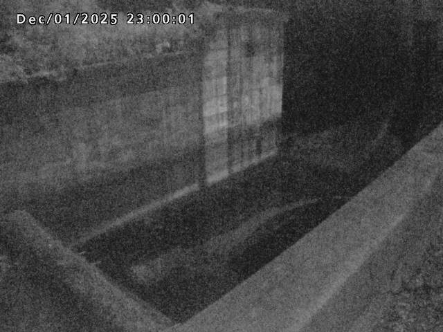 賀祥ダム１（下流）2025/12/02 11:30:00