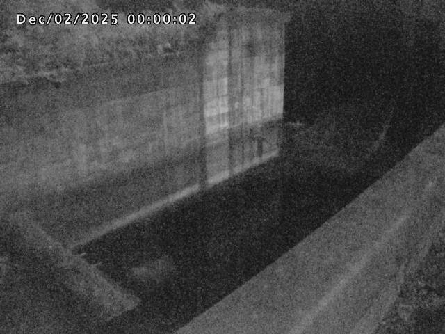 賀祥ダム１（下流）2025/12/02 11:30:00