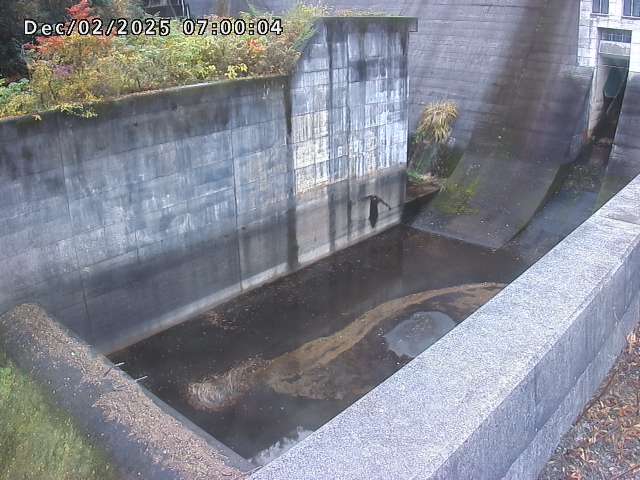 賀祥ダム１（下流）2025/12/02 11:30:00
