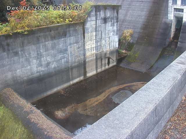 賀祥ダム１（下流）2025/12/02 11:30:00