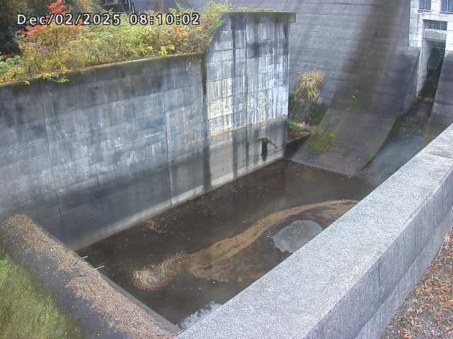賀祥ダム１（下流）2025/12/02 11:30:00