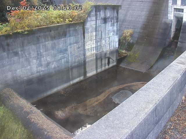賀祥ダム１（下流）2025/12/02 11:30:00
