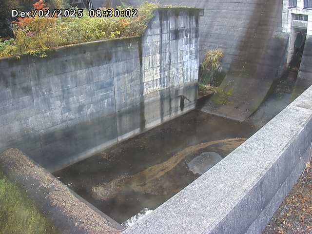 賀祥ダム１（下流）2025/12/02 11:30:00