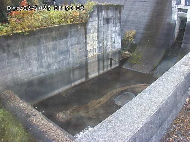 賀祥ダム１（下流）2025/12/02 11:30:00