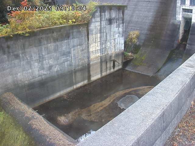 賀祥ダム１（下流）2025/12/02 11:30:00