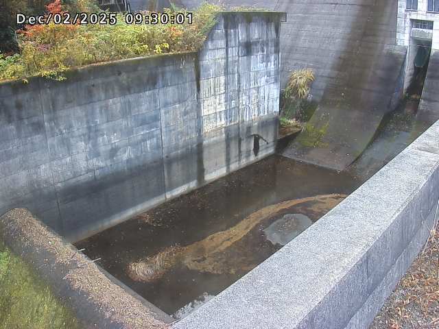 賀祥ダム１（下流）2025/12/02 11:30:00