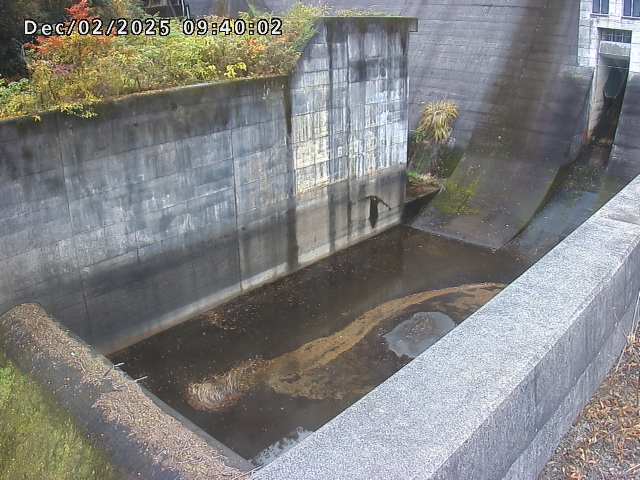 賀祥ダム１（下流）2025/12/02 11:30:00