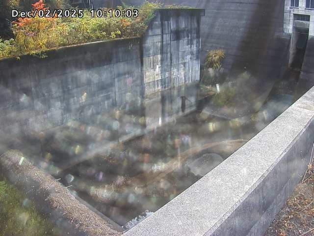 賀祥ダム１（下流）2025/12/02 11:30:00