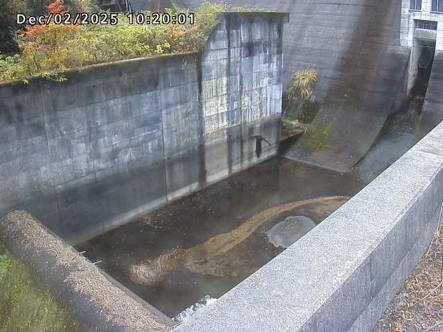 賀祥ダム１（下流）2025/12/02 11:30:00