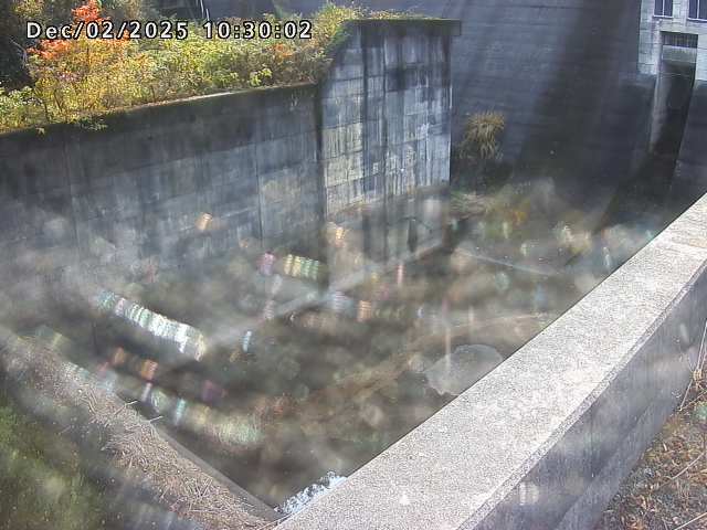 賀祥ダム１（下流）2025/12/02 11:30:00