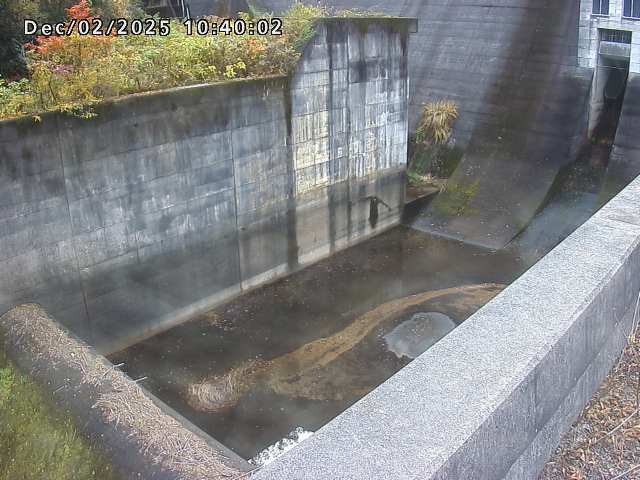 賀祥ダム１（下流）2025/12/02 11:30:00