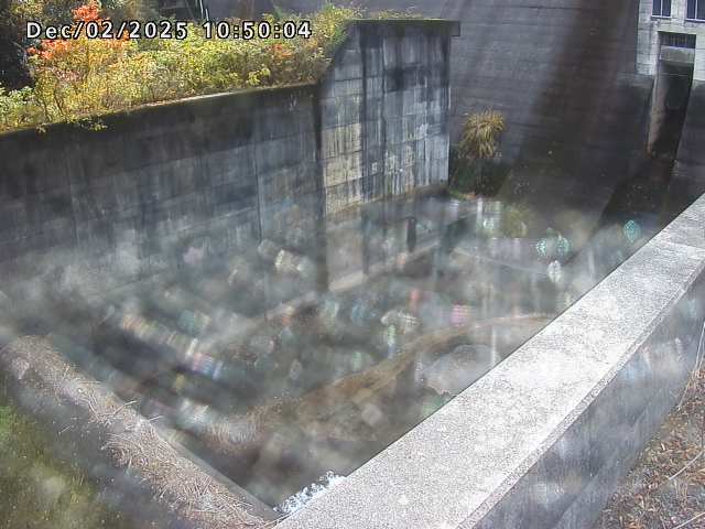 賀祥ダム１（下流）2025/12/02 11:30:00