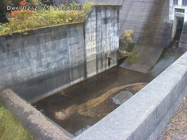賀祥ダム１（下流）2025/12/02 11:30:00