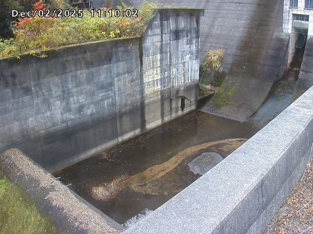 賀祥ダム１（下流）2025/12/02 11:30:00