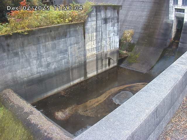 賀祥ダム１（下流）2025/12/02 11:30:00