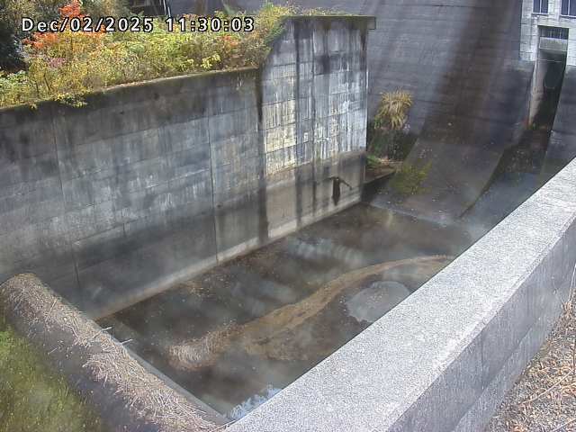賀祥ダム１（下流）2025/12/02 11:30:00