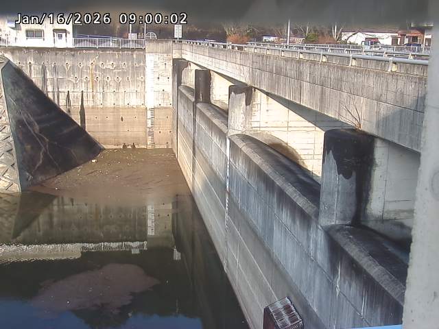 賀祥ダム２（上流）2026/01/16 15:50:00