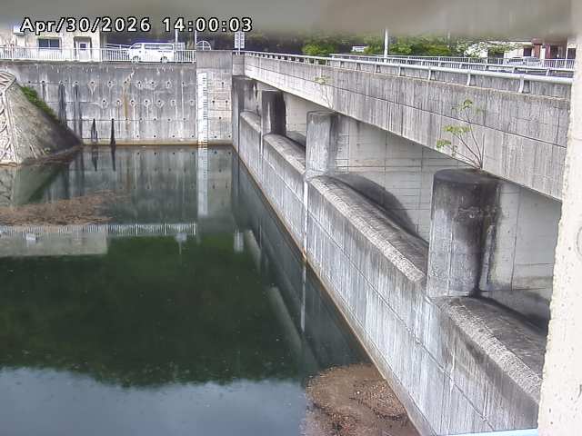 賀祥ダム２（上流）2026/05/01 14:20:00