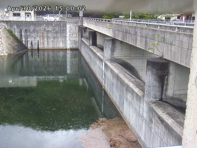 賀祥ダム２（上流）2026/05/01 14:20:00