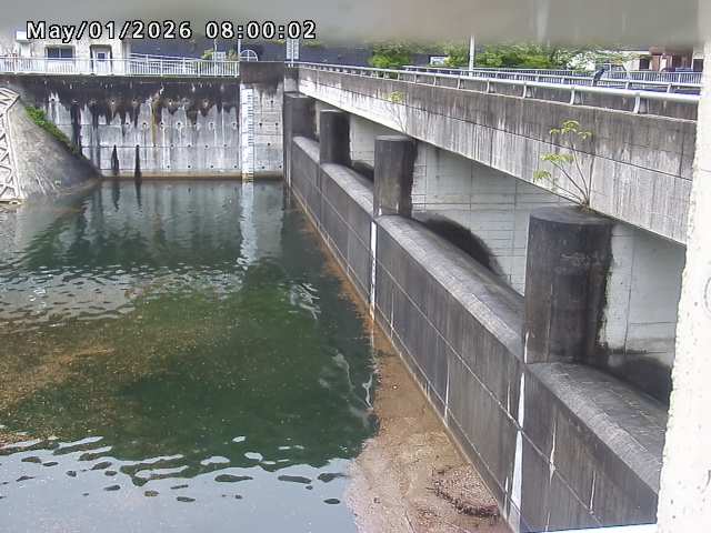 賀祥ダム２（上流）2026/05/01 14:20:00