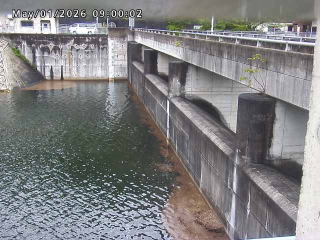 賀祥ダム２（上流）2026/05/01 14:20:00