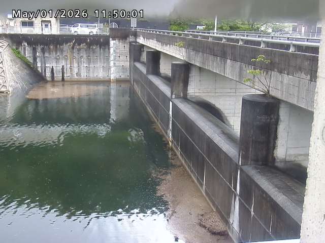 賀祥ダム２（上流）2026/05/01 14:20:00