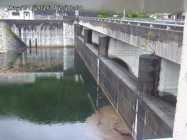 賀祥ダム２（上流）2026/05/01 14:20:00