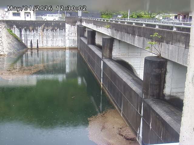 賀祥ダム２（上流）2026/05/01 14:20:00