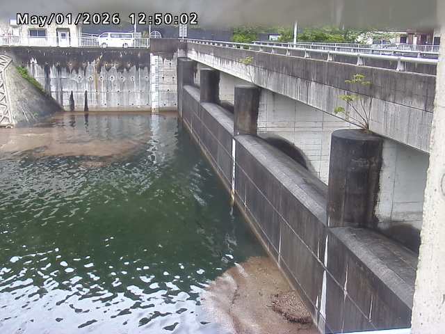 賀祥ダム２（上流）2026/05/01 14:20:00