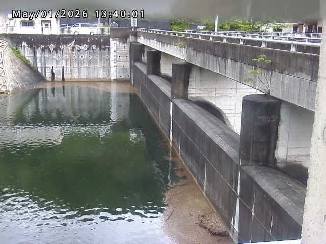 賀祥ダム２（上流）2026/05/01 14:20:00