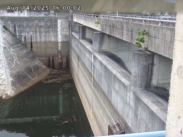 賀祥ダム２（上流）2025/08/15 14:00:00