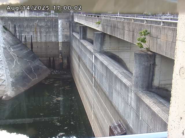 賀祥ダム２（上流）2025/08/15 14:00:00