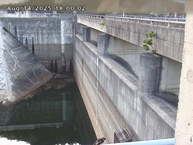 賀祥ダム２（上流）2025/08/15 14:00:00
