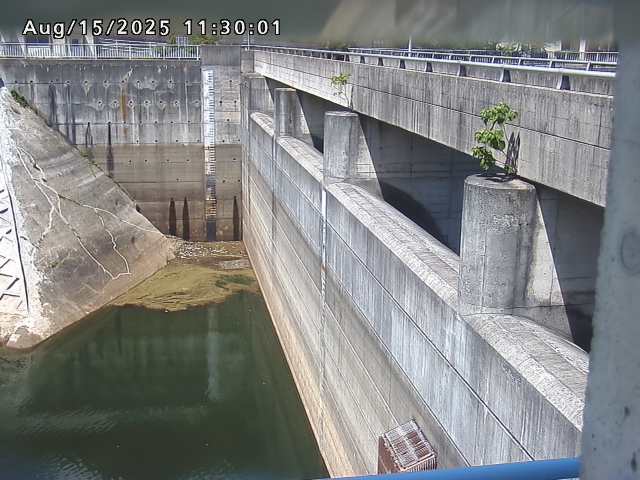 賀祥ダム２（上流）2025/08/15 14:00:00